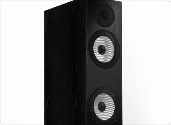 Pylon Audio Ruby 30 - cecha 1